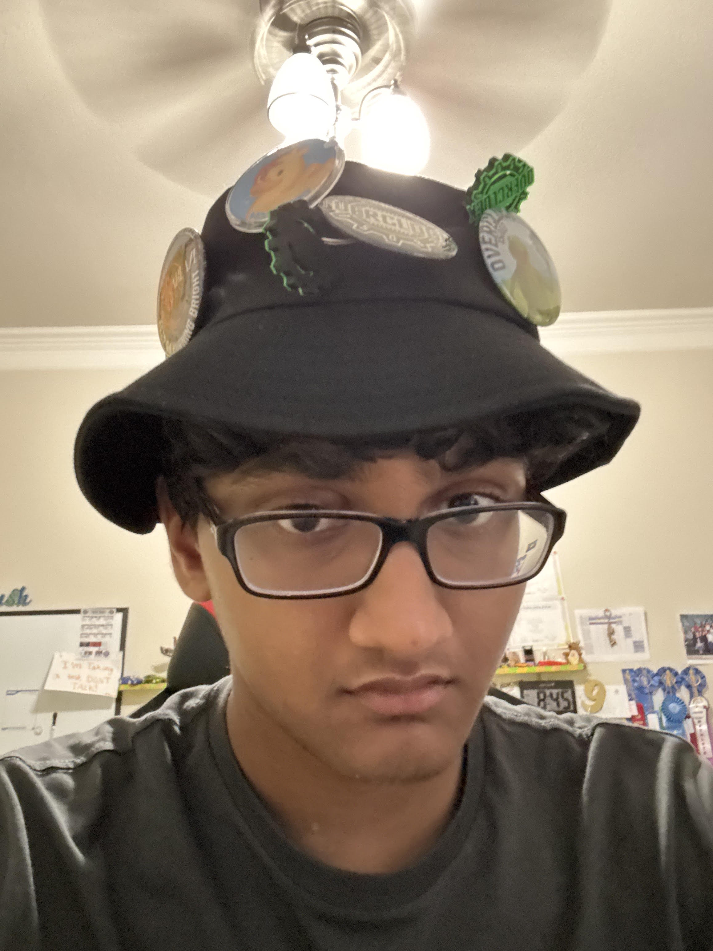Aryan Paddarthi